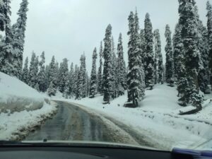 best time to visit Gulmarg?