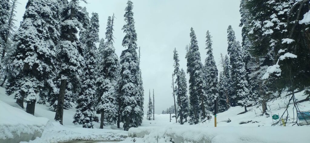 KASHMIR SNOWFALL UPDATE 2025 2026