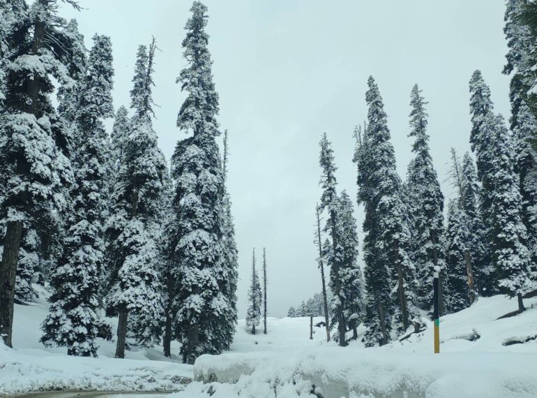 KASHMIR SNOWFALL UPDATE 2025 2026
