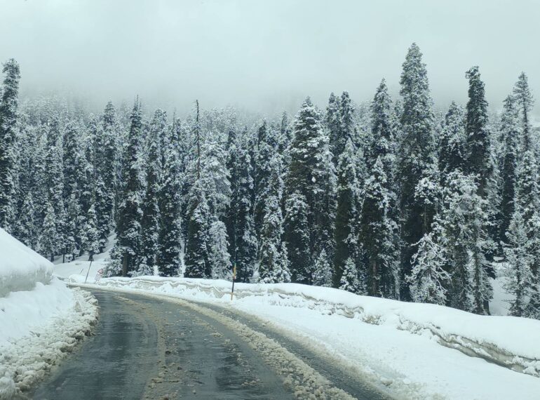 kashmir Travel News