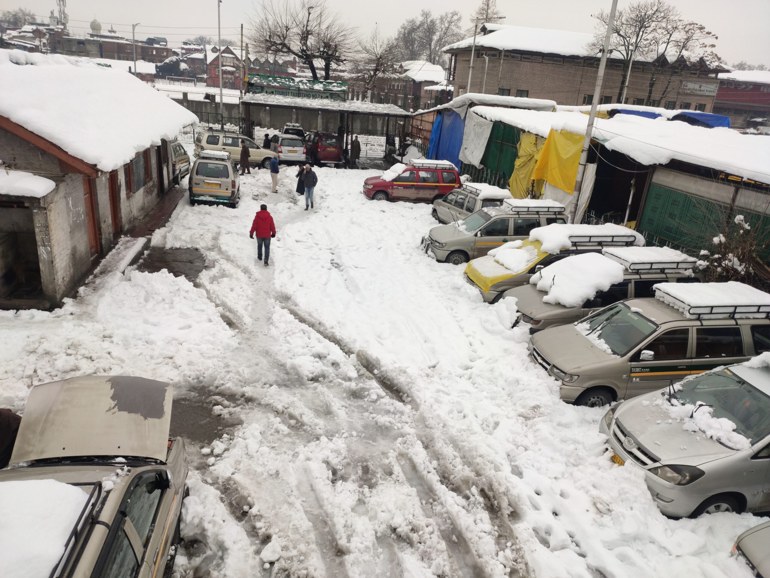 Kashmir Snowfall Update