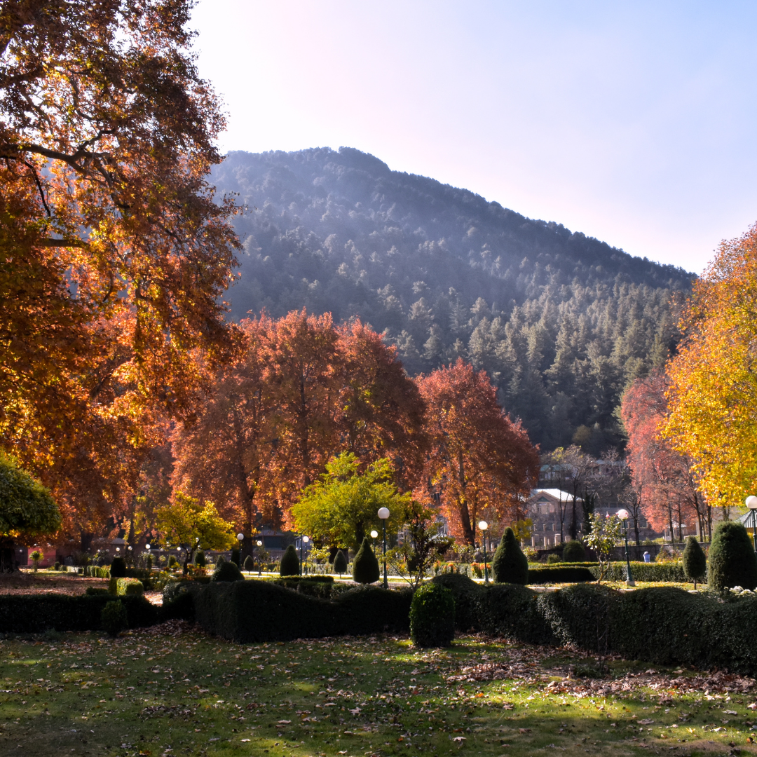 Srinagar to Verinag taxi