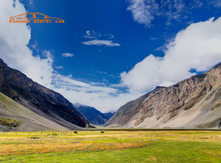 Zojila Pass Reopens : 5 Gateway to Adventure