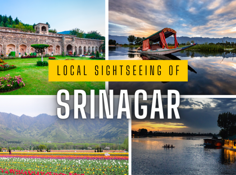 Local Sightseeing in Srinagar