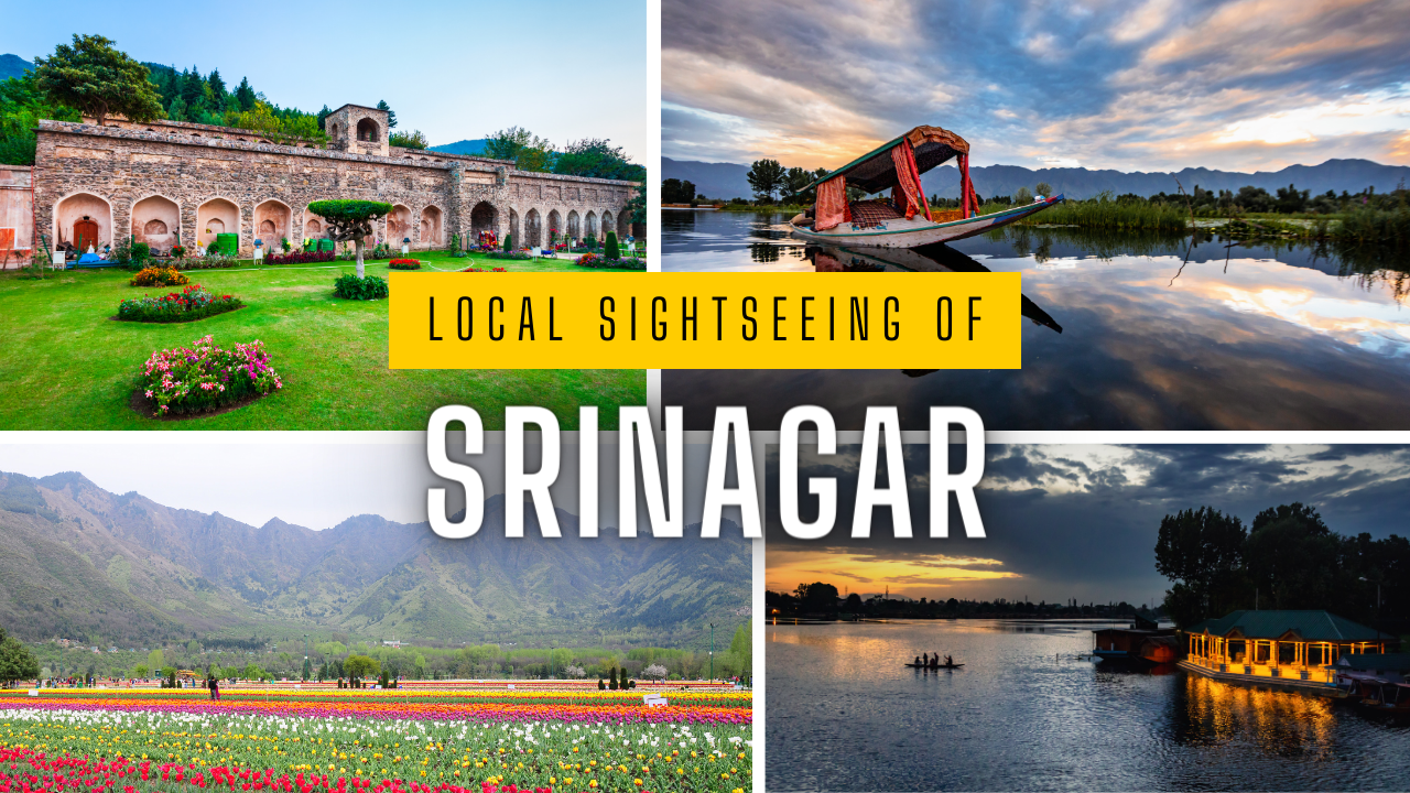 Local Sightseeing in Srinagar