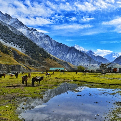 taxi rates in pahalgam