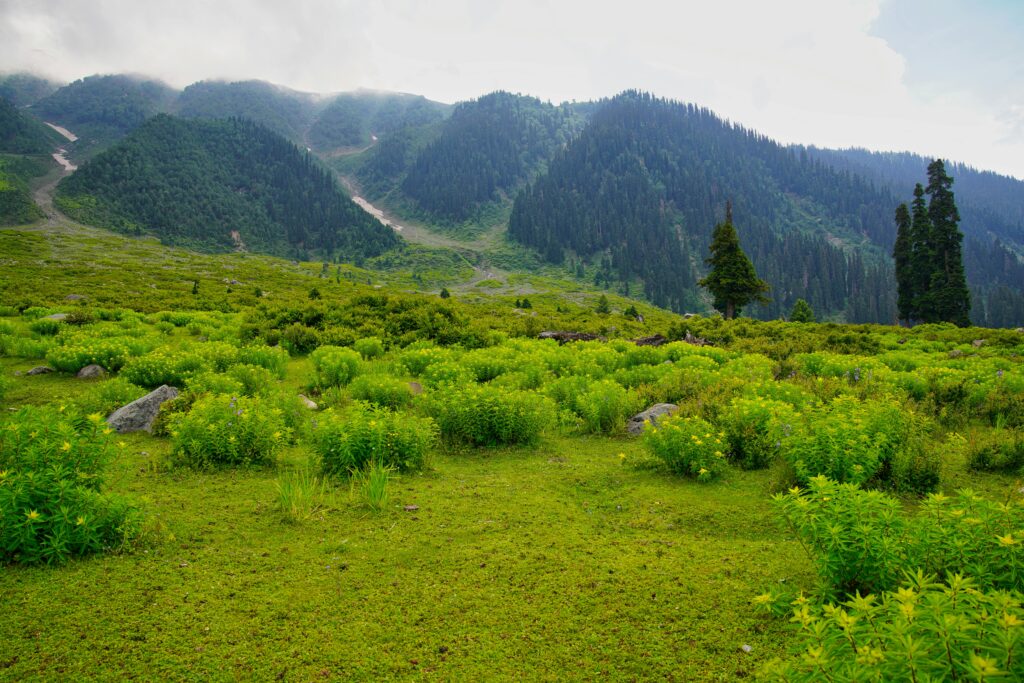 Khilanmarg