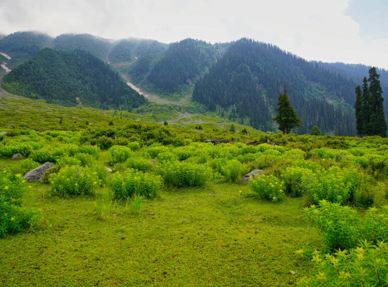 Khilanmarg