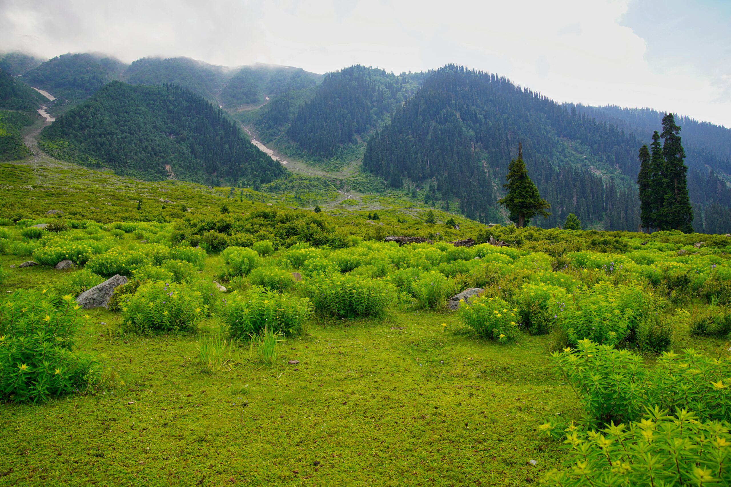 Khilanmarg