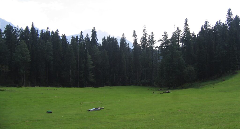 Baisaran Pahalgam