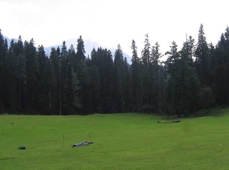 Baisaran Pahalgam